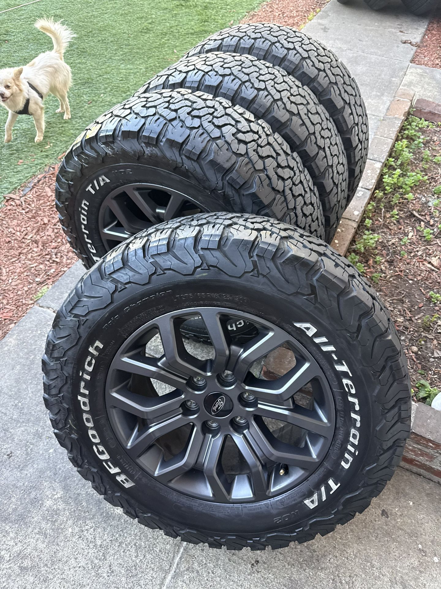 Ford Tremor F150 Wheels And Tires