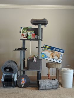 Cat/Kitten Supply Lot
