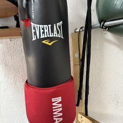 MMA punching bag