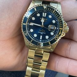 Invicta Watch Pro Diver