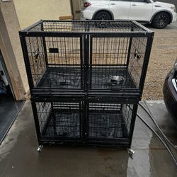 Dog kennels 