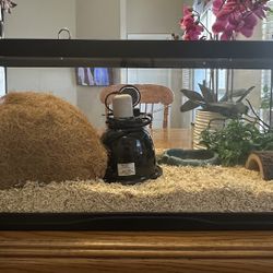 Terrarium with Full Setup