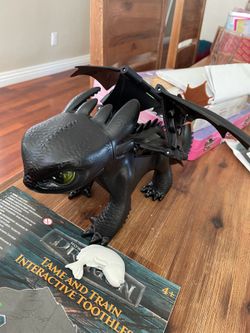 Tame and Train Interactive Toothless