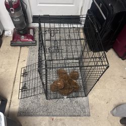 Dog Cage Medium Size