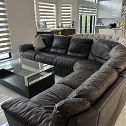 6 Cushion Dark Brown Natuzzi Italian Leather Couch 