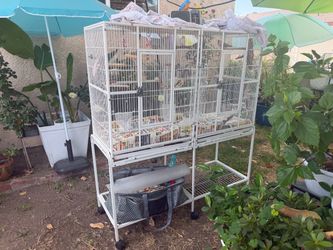3 small birds