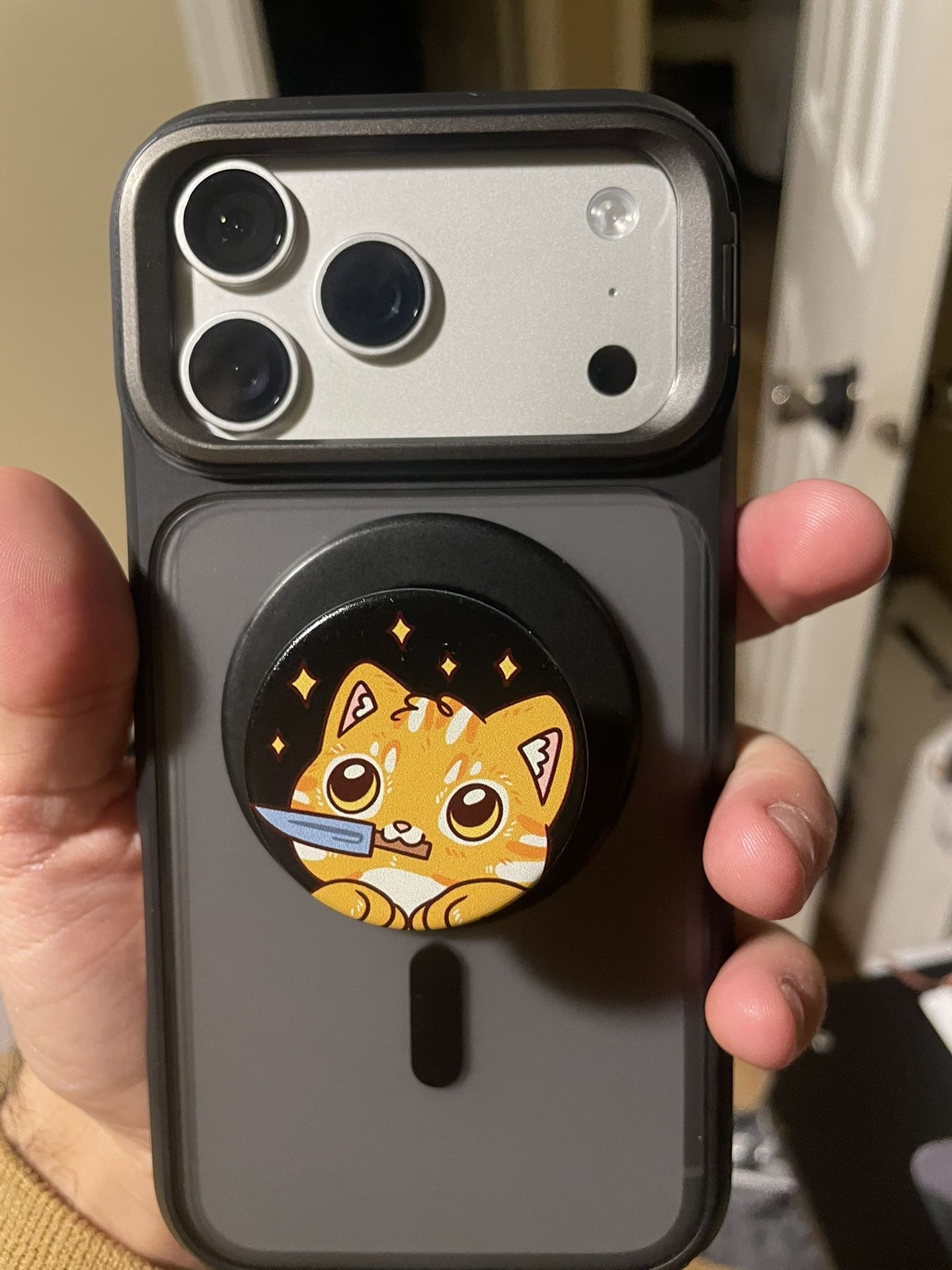 iPhone 17 Pro Max 256 Unlocked