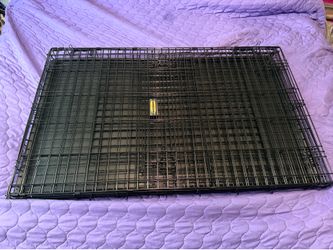 Retriever Dog Crate XL