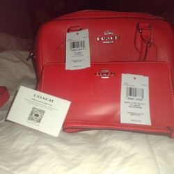Purse And Wallet 