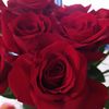 Asrar