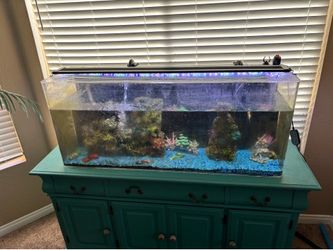 Acrylic aquarium
