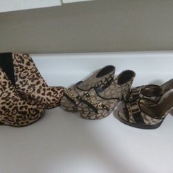 Coach Shoes And Leopard Boots