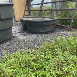 Stock Tank