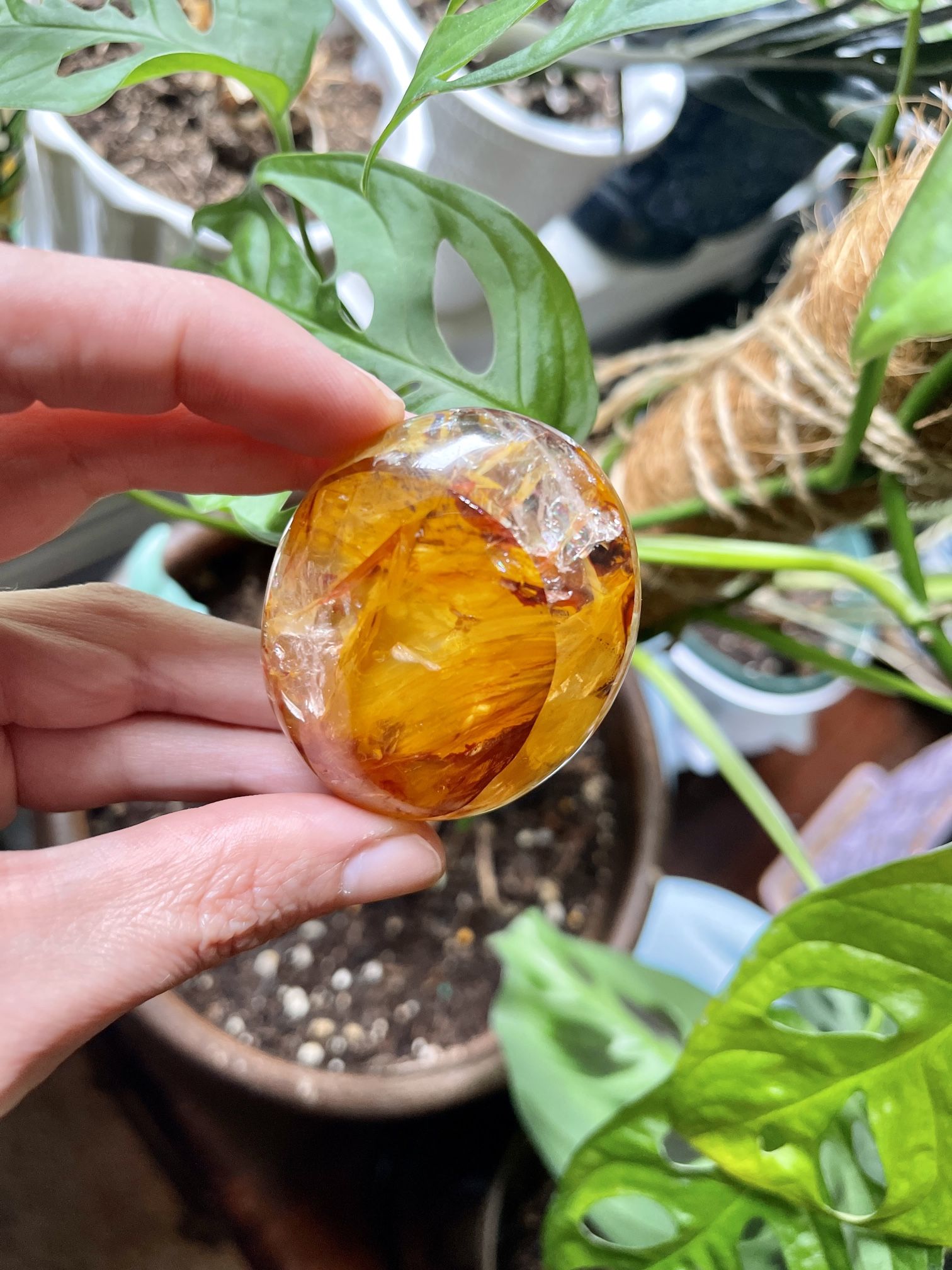 Golden Healer Palm Stone