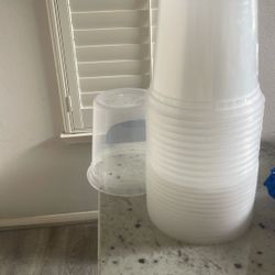 Plastic Containers Cup And Lid 12ct