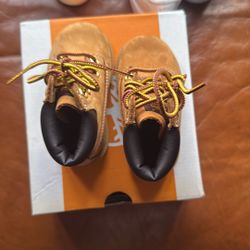 Baby Shoes 