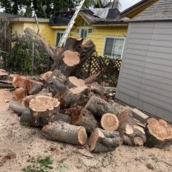 Free Firewood