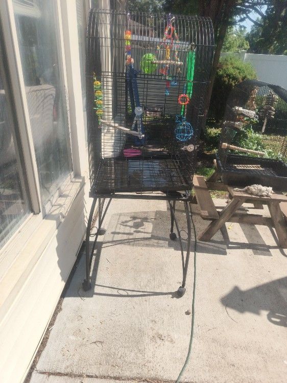 Big Cage Large