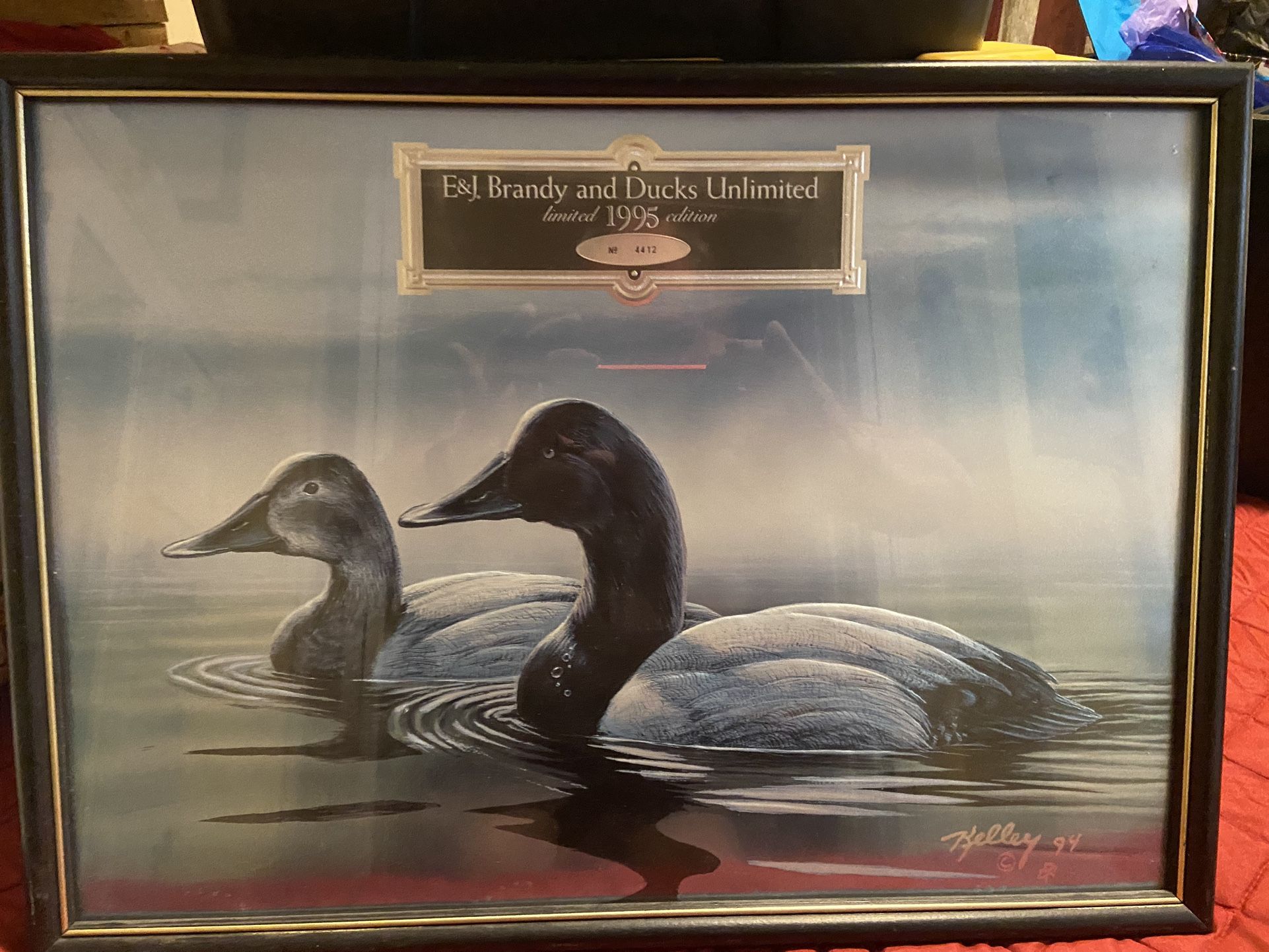 Ducks Unlimited Picture