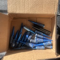 20 Lugnuts With Socket