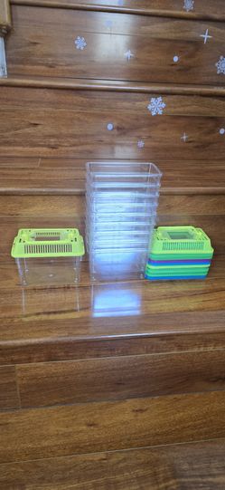 10 Pcs Plastic Reptile Terrarium Carrier Cage, Portable Transparent Aquarium Box