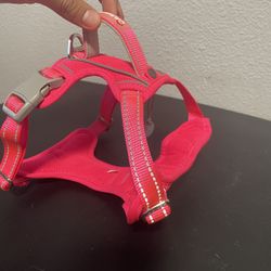 Small Dog Harness