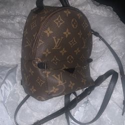 Louis Vuitton Palm Springs Backpack Used
