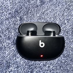 Beats Studio Buds + True Noice Cancellation 