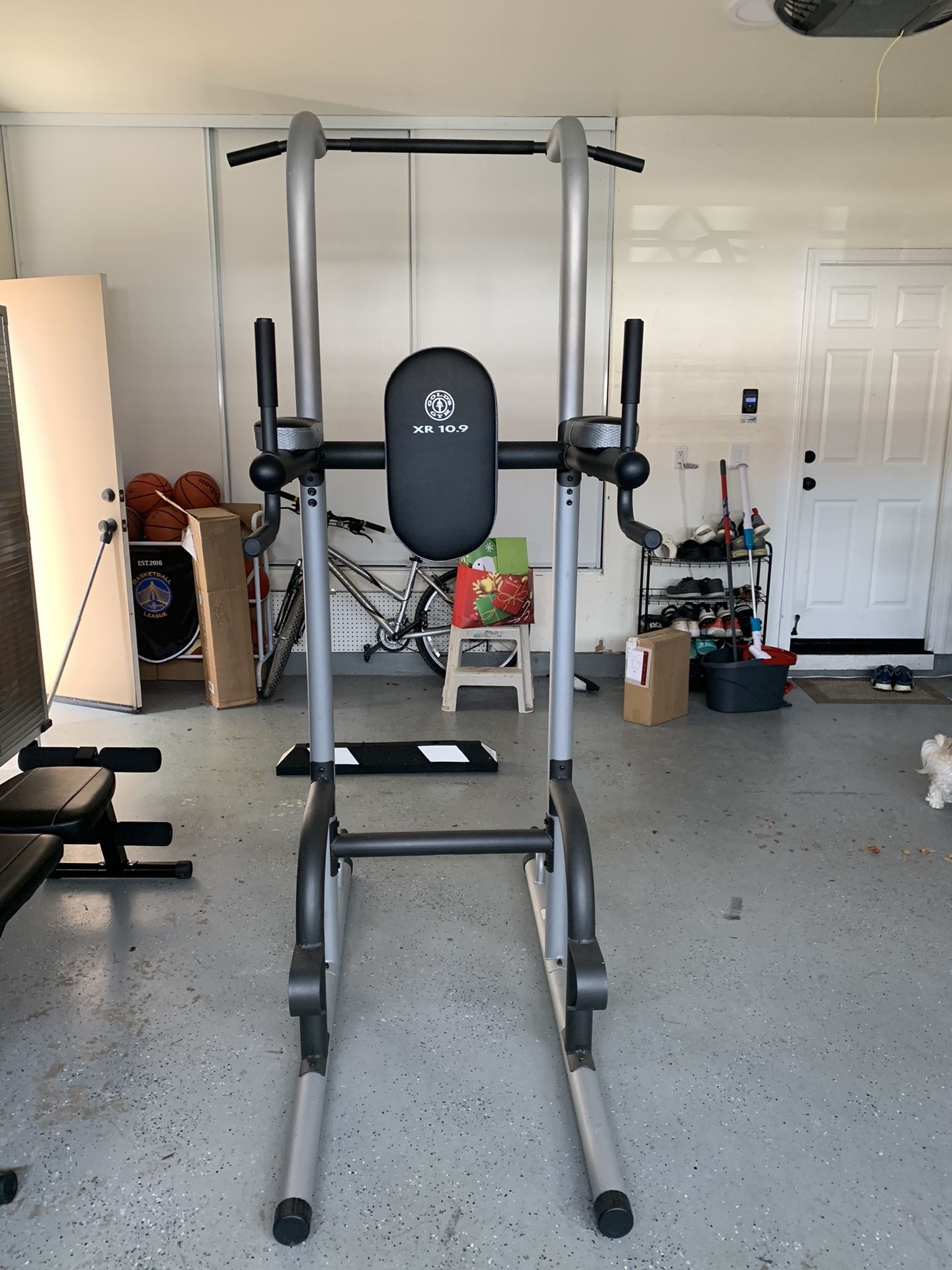 Golds Gym Pull Up Bar