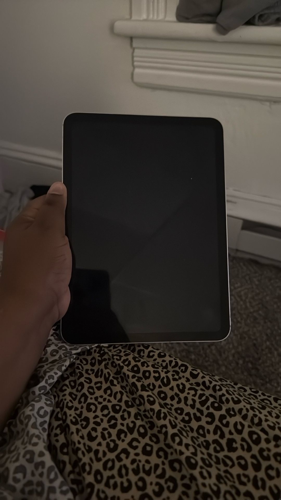 Apple iPad