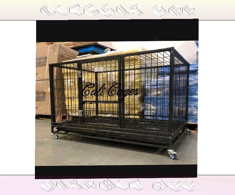 Give a Warm Home with Dog Pet Cages and Kennels finally agency