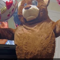 Teddy Bear For Valentines 