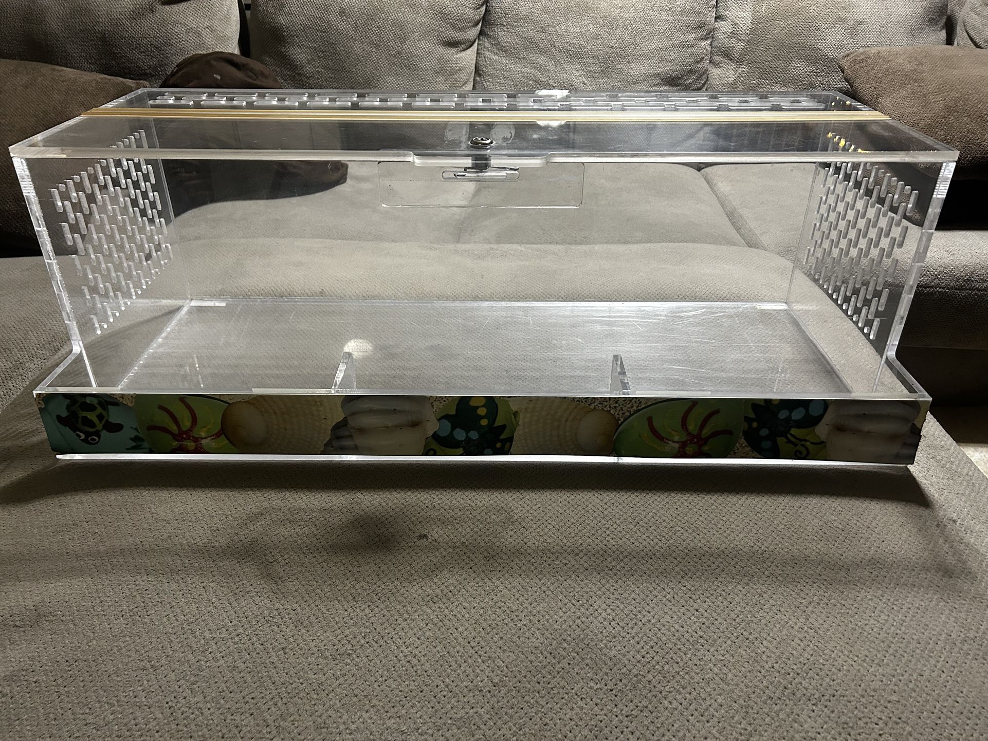 20 Gallon Acrylic Terrarium
