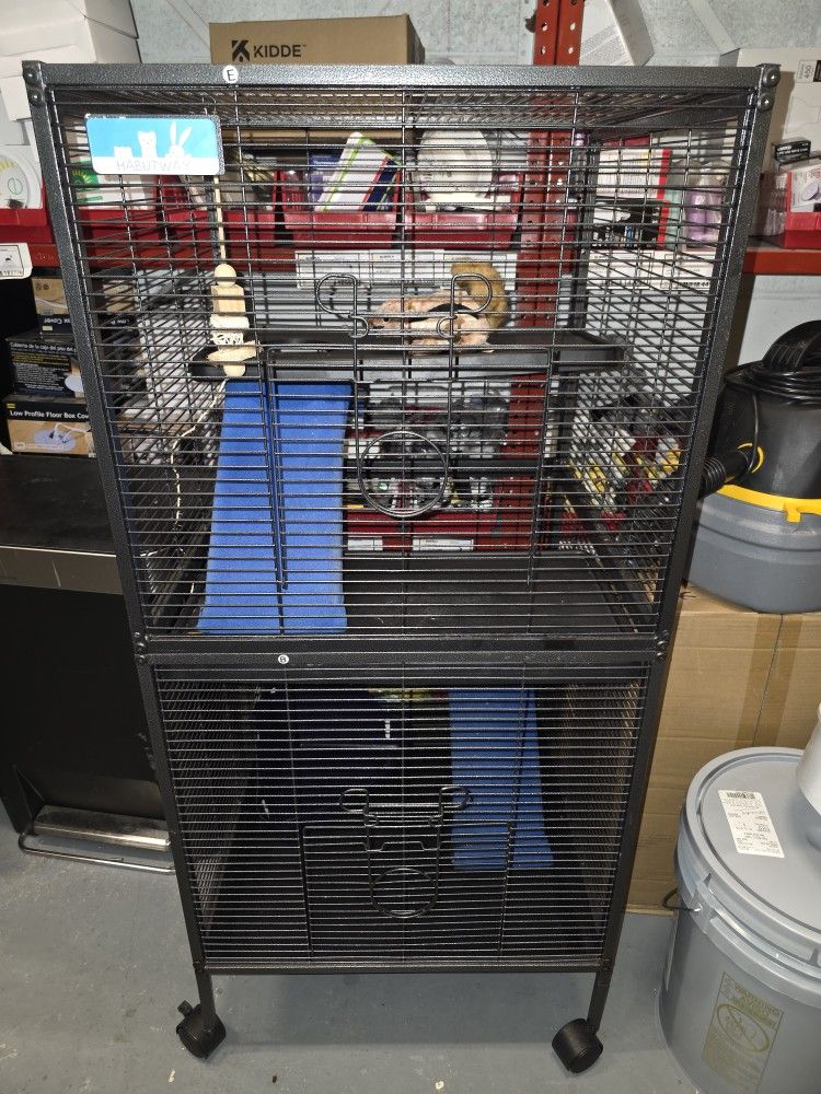 Ferret, Chinchillas Cage