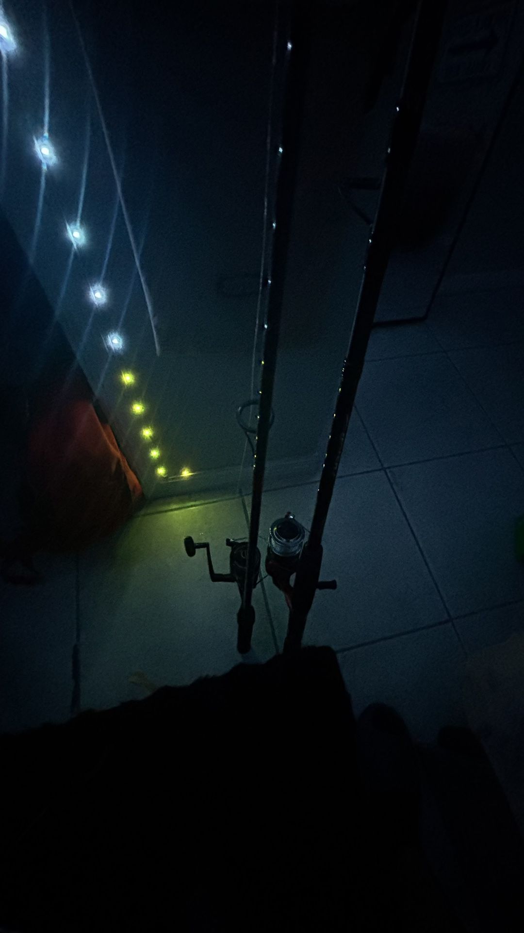 fishing rods