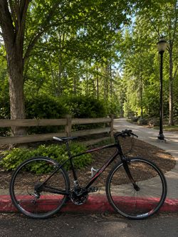 Giant Escape RX W Women's Fitness Hybrid Bike – Large Frame Disc Bike