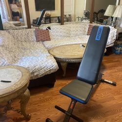 Weight Bench Black and Blue Foldable Minimalist