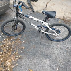 20" Bmx Bike 