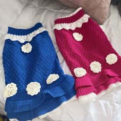 dogs clothes 