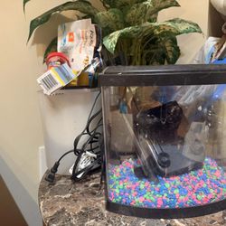 Aquarium And Fish Supplies