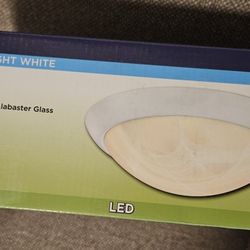 LED Light Fixture 