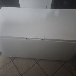 FRIDGEAIRE COMMERCIAL SIZE DEEP FREEZER $325