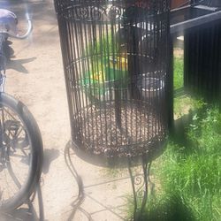 Bird Cage Vintage 