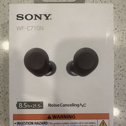 Head Phones 
