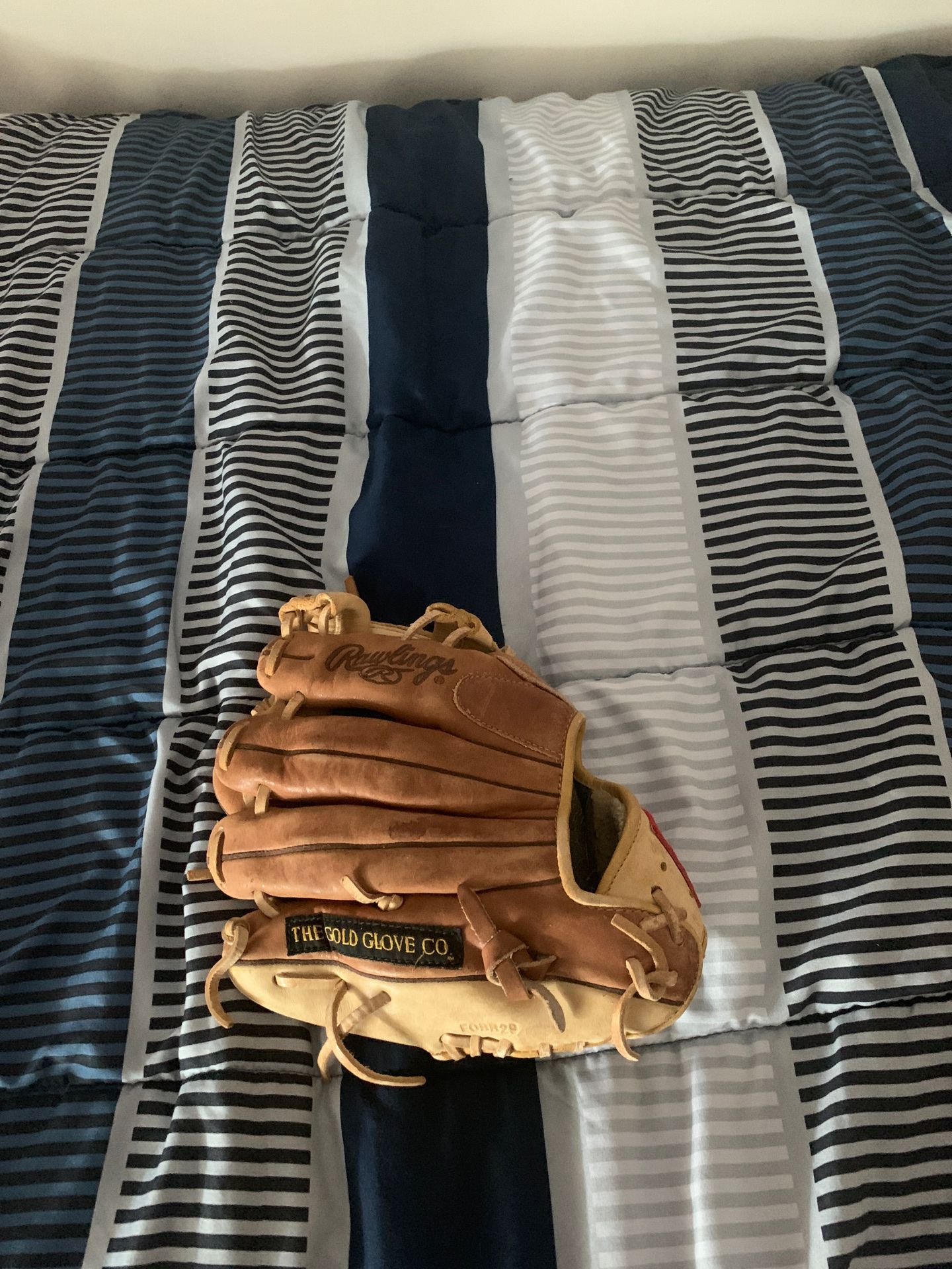 Rawlings Infield Glove