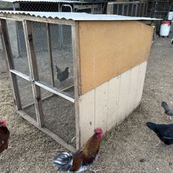 Chicken Coop 