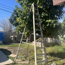 12 Ft Fiberglass Ladder 