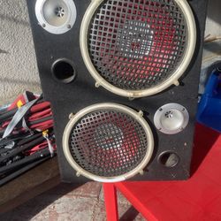10 inch speakers they work good Walmart brand