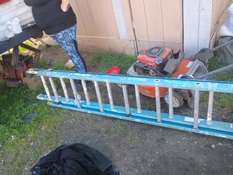 Fiberglass Ladder 
