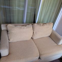 Free Couch - Loveseat